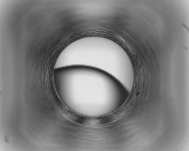 X0000096400217200801241011