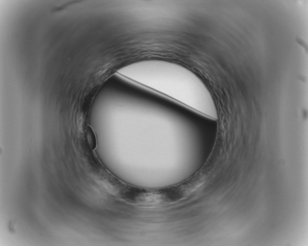 X0000096400219200801241011