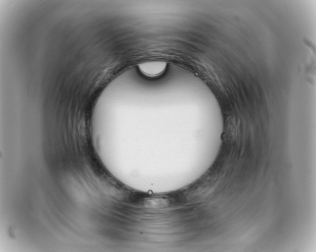 X0000096400220200801241011