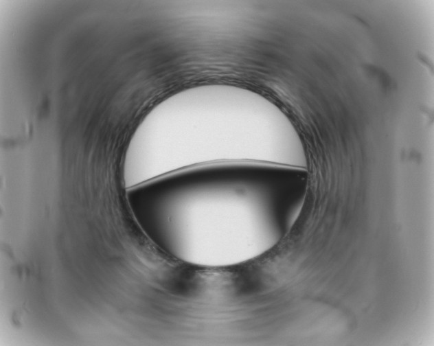 X0000096400221200801241011