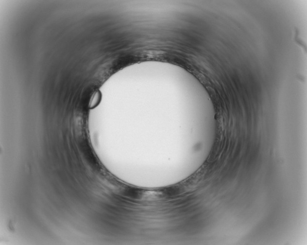 X0000096400222200801241011