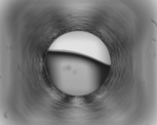 X0000096400223200801241011