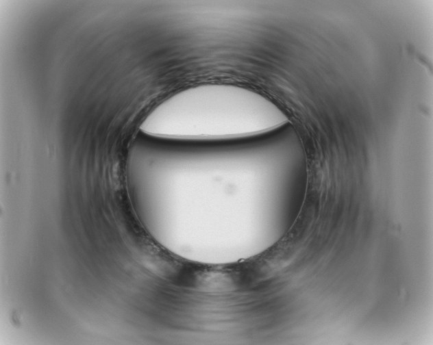 X0000096400224200801241011