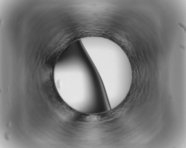 X0000096400225200801241010