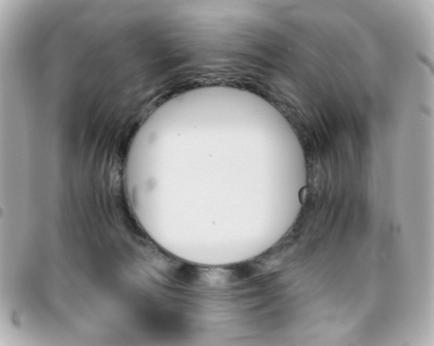 X0000096400226200801241010