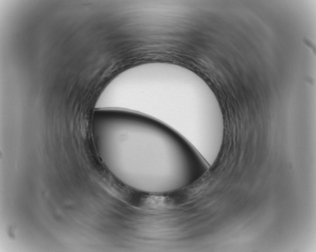 X0000096400227200801241010