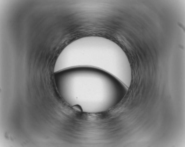 X0000096400229200801241010