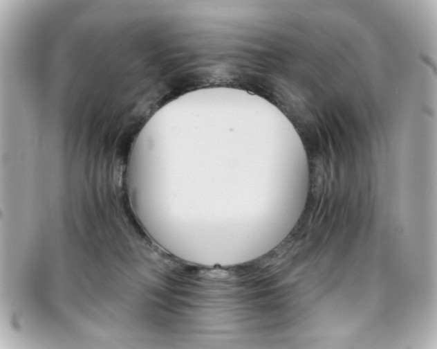 X0000096400230200801241010