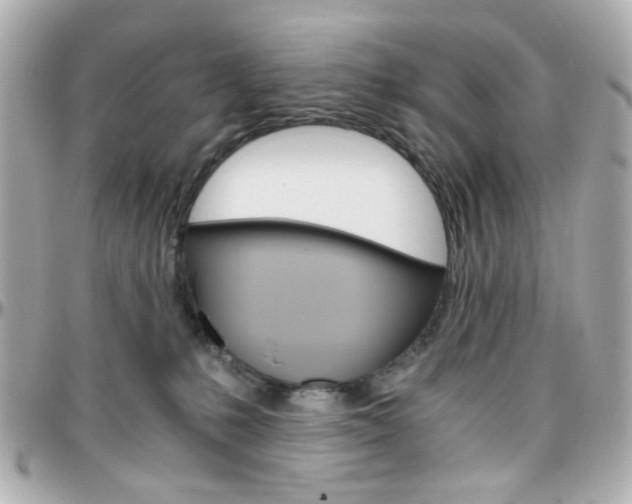 X0000096400231200801241010