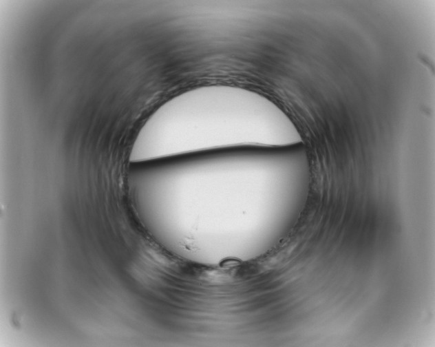 X0000096400232200801241010