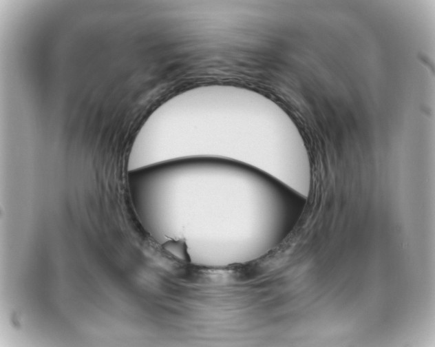 X0000096400233200801241010