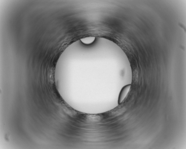 X0000096400234200801241010