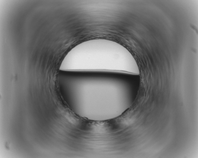 X0000096400235200801241010