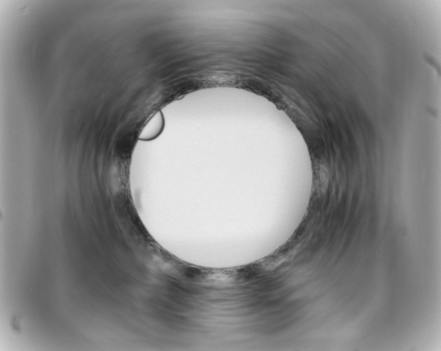 X0000096400236200801241010