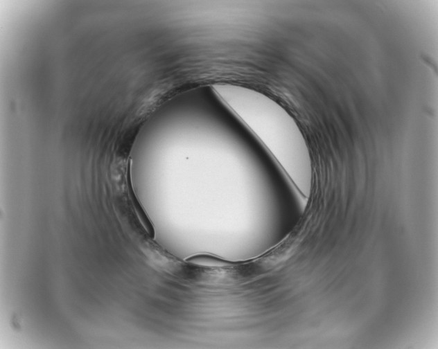 X0000096400237200801241010