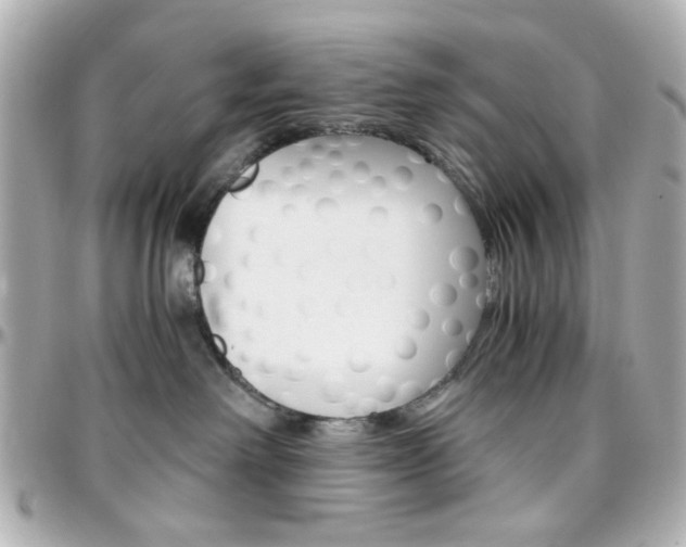 X0000096400238200801241010