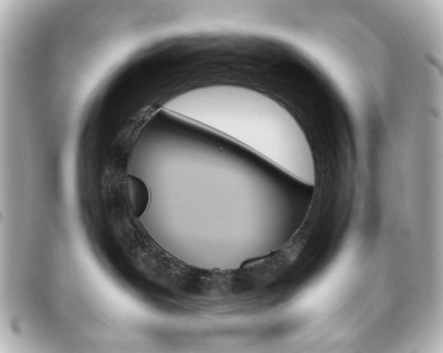 X0000096400239200801241010