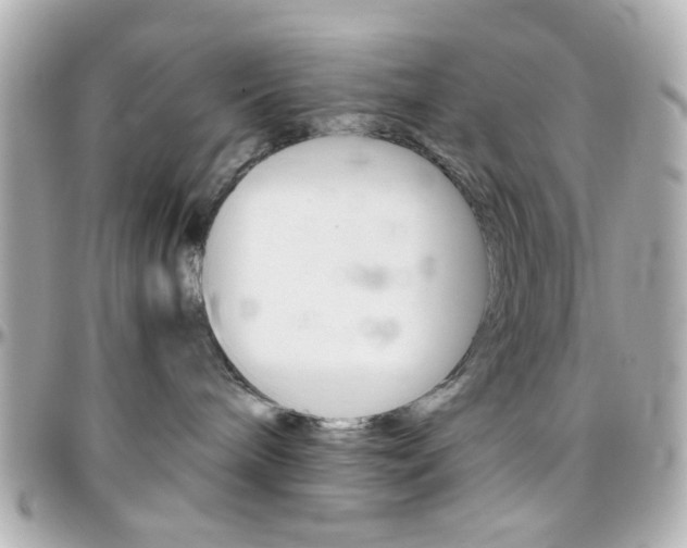 X0000096400240200801241010