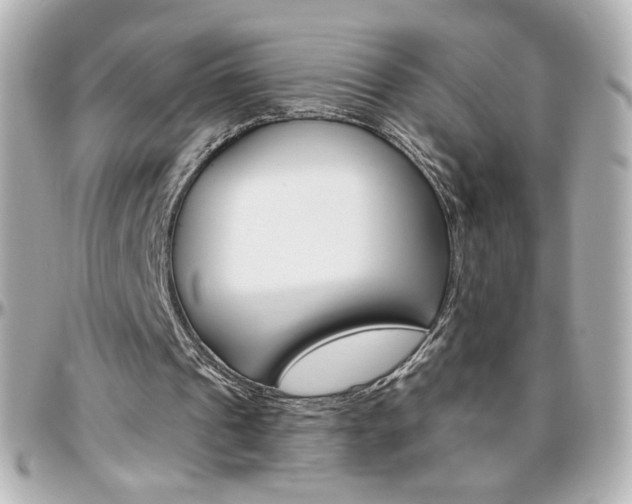 X0000096400241200801241010