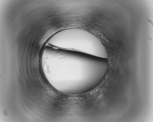 X0000096400242200801241010