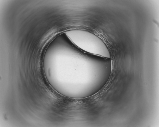 X0000096400243200801241010