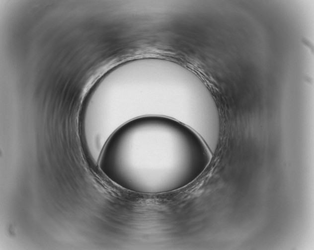 X0000096400244200801241010