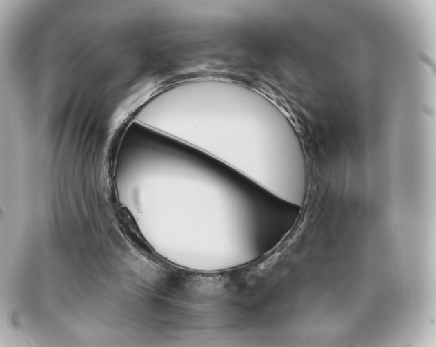 X0000096400245200801241010