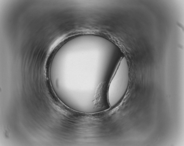 X0000096400246200801241010