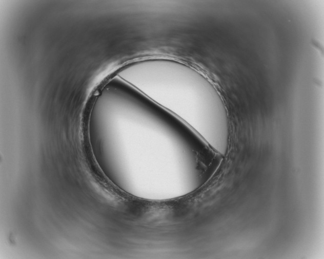 X0000096400248200801241010