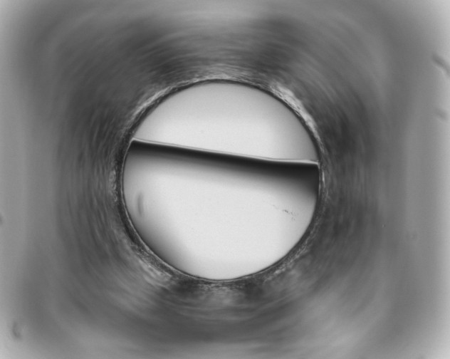 X0000096400249200801241010