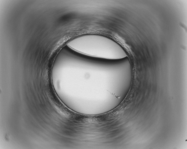 X0000096400250200801241010