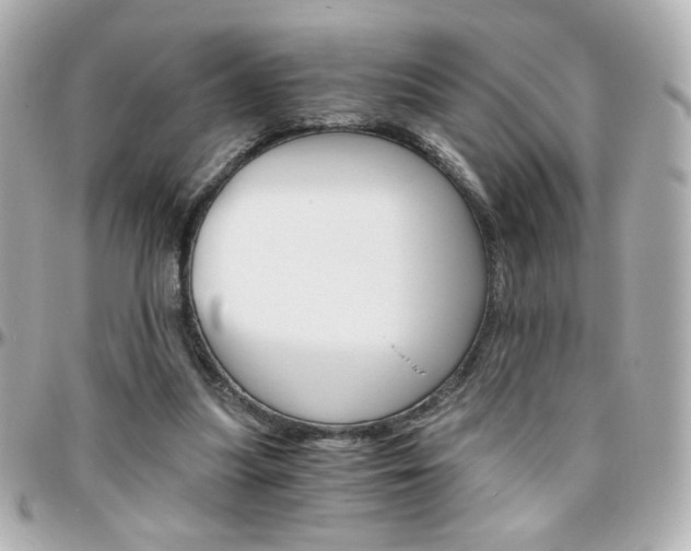 X0000096400251200801241010