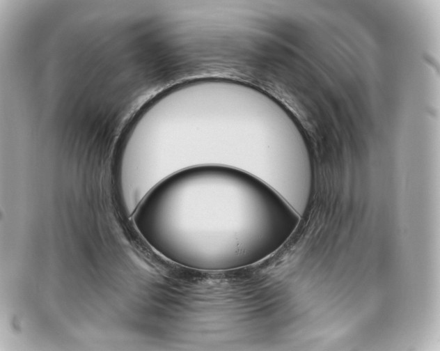 X0000096400252200801241010