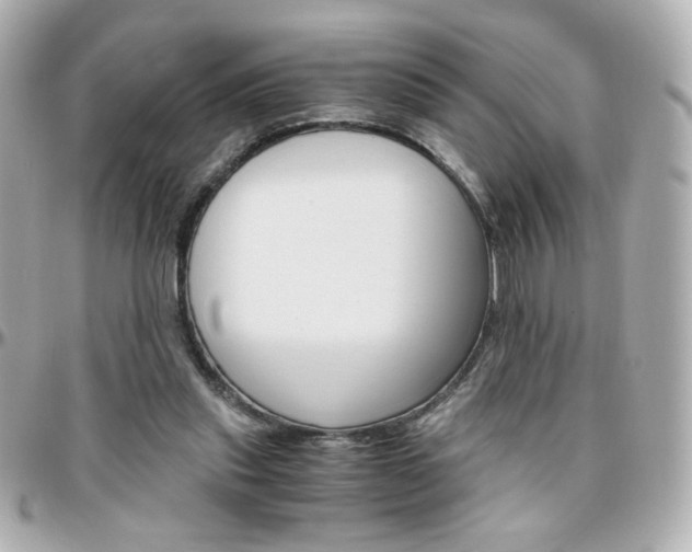 X0000096400253200801241010