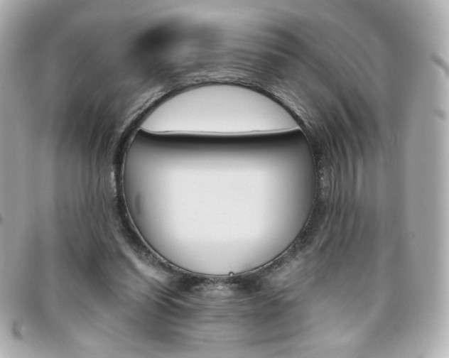 X0000096400254200801241010