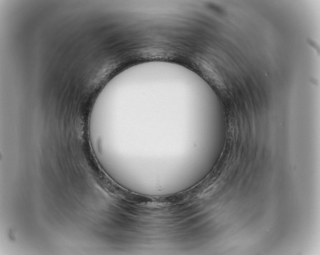 X0000096400255200801241010