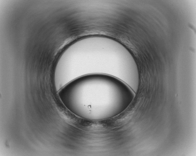 X0000096400256200801241010