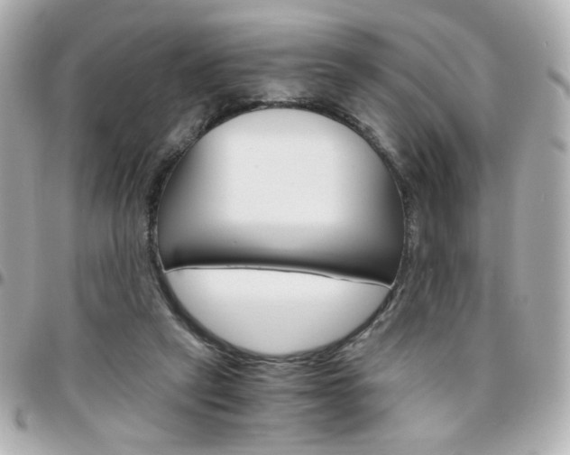 X0000096400257200801241010