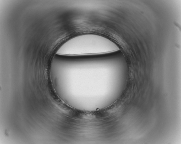 X0000096400258200801241010