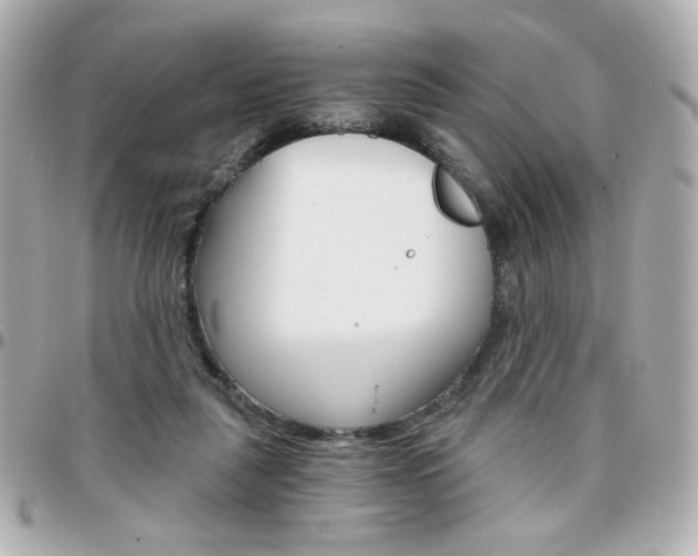 X0000096400259200801241010