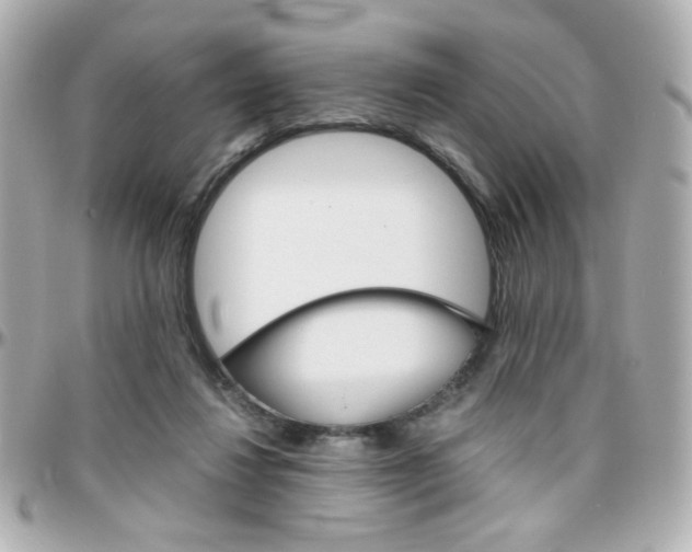 X0000096400260200801241010