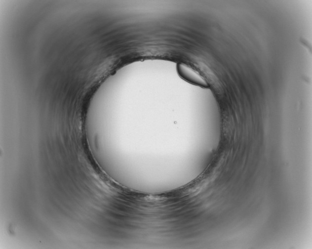 X0000096400261200801241010