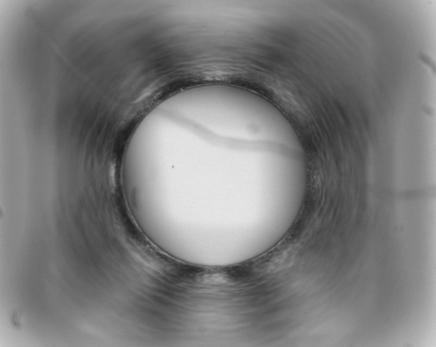 X0000096400262200801241010