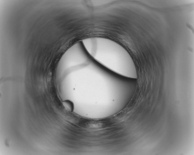 X0000096400263200801241010