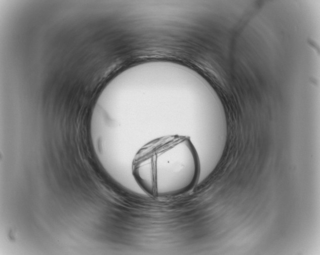 X0000096400264200801241010