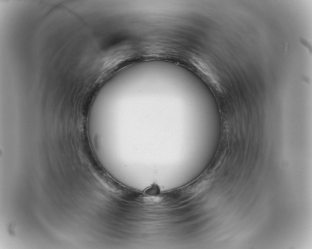 X0000096400265200801241010