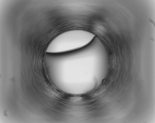 X0000096400266200801241010