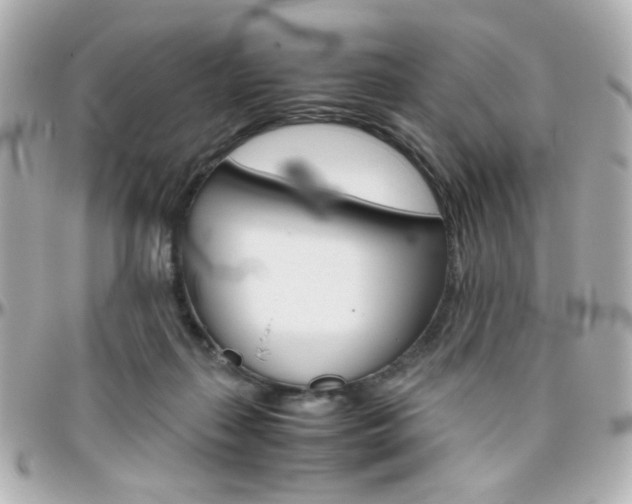 X0000096400267200801241010