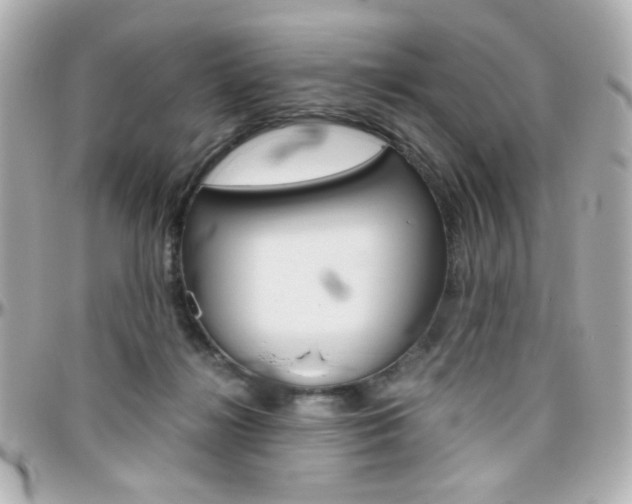 X0000096400268200801241010