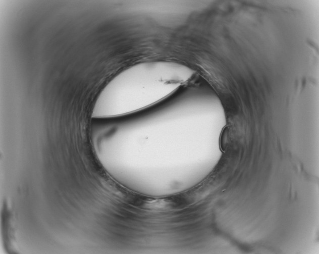 X0000096400269200801241010